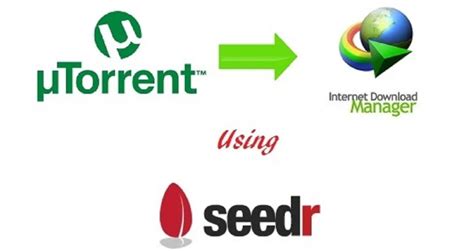 seedr premium account|seedr premium account free.
